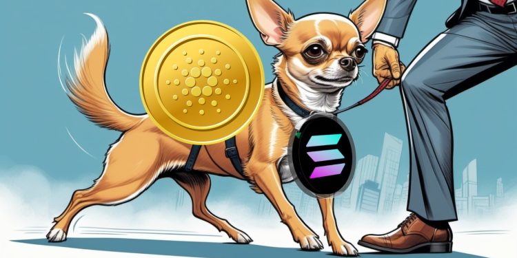 预测 Solana (SOL) 将于 2022 年崩盘的顶级分析师认为，病毒式卡尔达诺 (ADA) 替代品在一周内暴涨 5000%，下一阶段将再飙升 50 倍