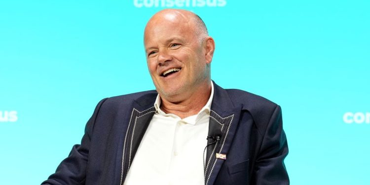 认识政治评论员迈克·诺沃格拉茨