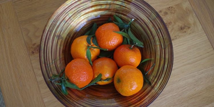 由 Tim Draper 领投的 Zest 筹集了 350 万美元，用于使用 Stacks 进行链上比特币借贷