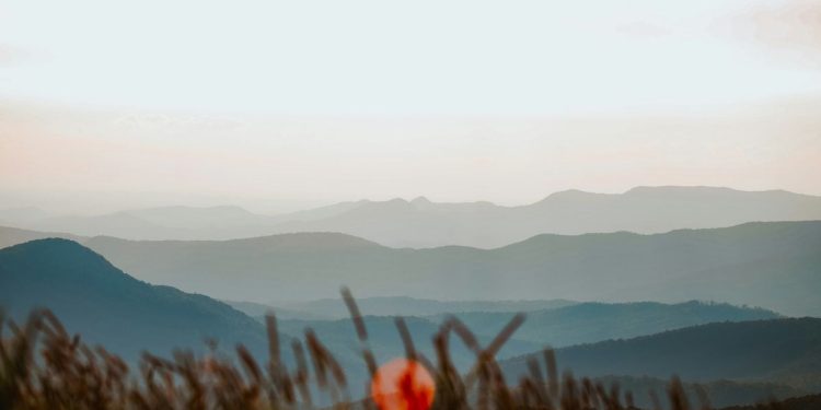 EigenLayer 的“主体间分叉”客观上尚未完成