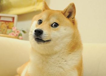 MarketVector 的 Meme 币指数上线，将跟踪 DOGE、SHIB、PEPE、FLOKI、WIF 和 BONK