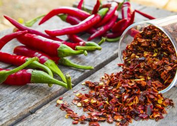 网络对代币供应 FUD 进行反击