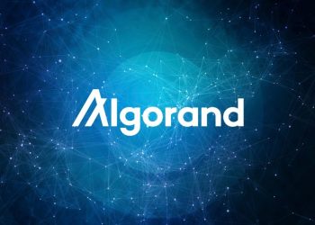 图表窃窃私语者发现 Algorand 出现突破:即将上涨 50%
