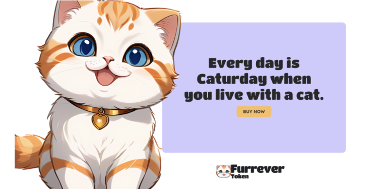 为什么 Furrever Token 在 Meme Coin 市场上胜过 Bonk、Dogwifhat 和 Dogecoin