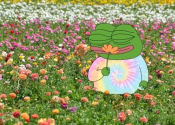 Apu Memecoin 飙升,在强大的社区支持下达到 11,600 名代币持有者