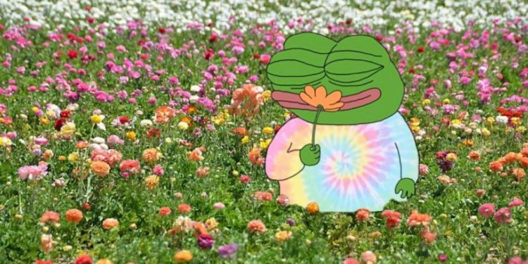 Apu Memecoin 飙升，在强大的社区支持下达到 11,600 名代币持有者