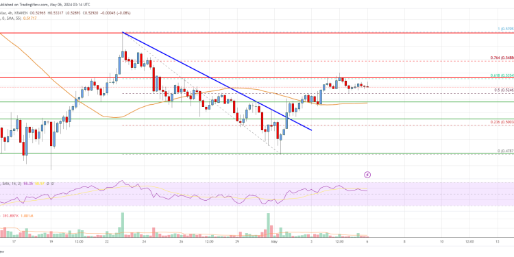 XRP 价格分析:多头能否清除这一关键障碍?