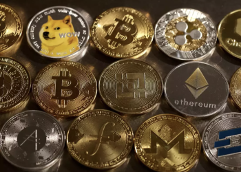 投资者如何利用比特币市场分析来增强他们的投资策略?