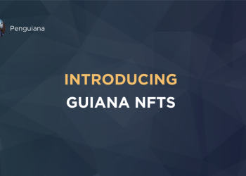 Solana 的 Meme Project Penguiana Token 飙升至 300% 以上，创下新高，团队宣布 GUIANA Play 可赚取 NFT