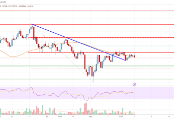 如果清算 0.1115 美元,Stellar Lumen (XLM) 价格可能会上涨