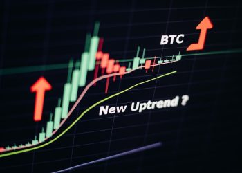 加密货币专家 Willy Woo 预测比特币还有运行空间