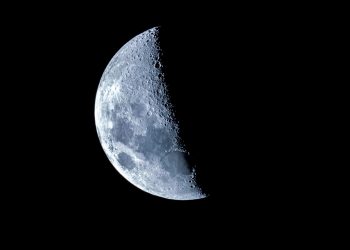 Terra LUNA 的 LUNC 将增长 13 倍,分析师透露驱动因素