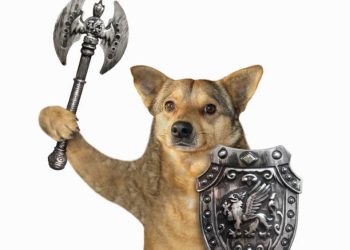 Floki 上市 22%,目标是成为“全球使用最广泛的加密货币”