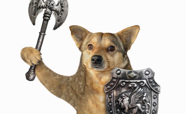 Floki 上市 22%,目标是成为“全球使用最广泛的加密货币”