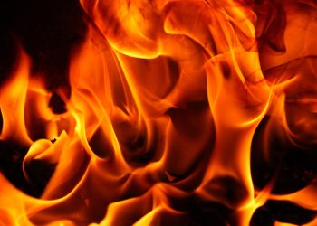 价格接近 18 美元,利润率飙升至 2022 年水平