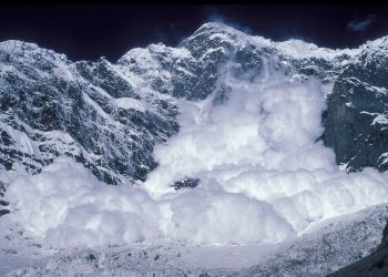 Avalanche 经受住了风暴的考验 – AVAX 能否再次达到 40 美元?