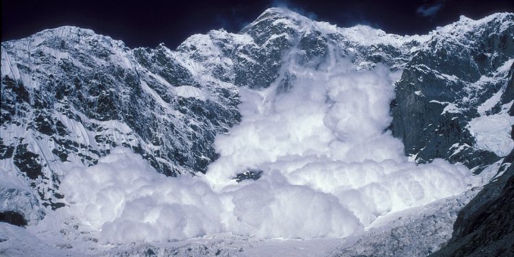 Avalanche 经受住了风暴的考验 – AVAX 能否再次达到 40 美元？