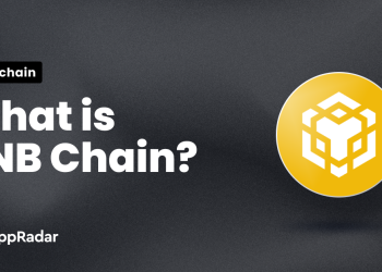 什么是 BNB 链以及它如何运作?