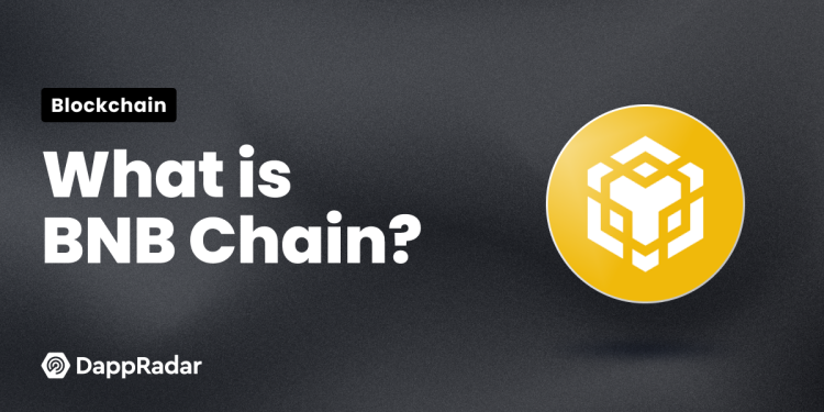 什么是 BNB 链以及它如何运作？