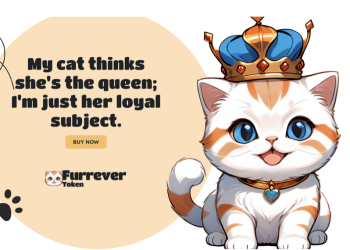黄金投资机会:以太坊、Solana 和 Furrever Token (FURR) 在加密世界大放异彩