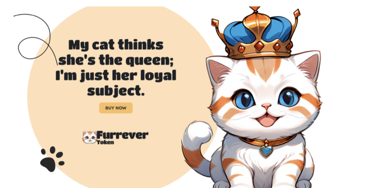 黄金投资机会:以太坊、Solana 和 Furrever Token (FURR) 在加密世界大放异彩