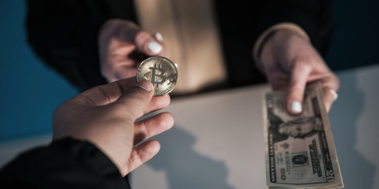 FOMO 会助长另一轮反弹还是导致崩盘？