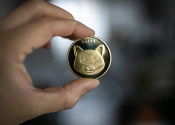 分析师预测 Shiba Inu 将在 Meme 币市场上涨的情况下飙升 50%