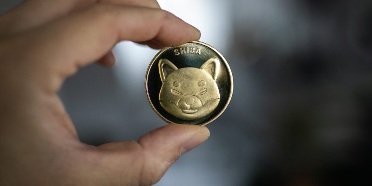 分析师预测 Shiba Inu 将在 Meme 币市场上涨的情况下飙升 50%