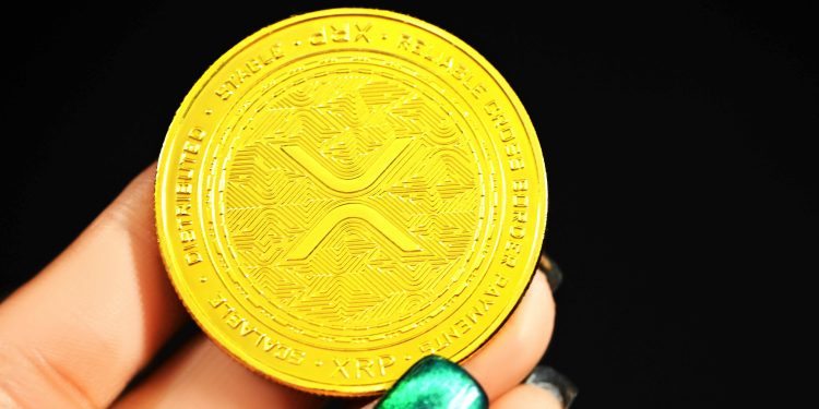 XRP 和卡尔达诺鲸鱼装载袋子:为山寨币反弹做准备?