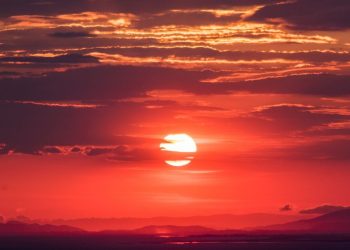 Mt. Gox 事件后比特币价格 (BTC) 的下一步走势