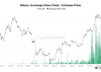 专家称,对美国和德国政府出售比特币的担忧是 FUD