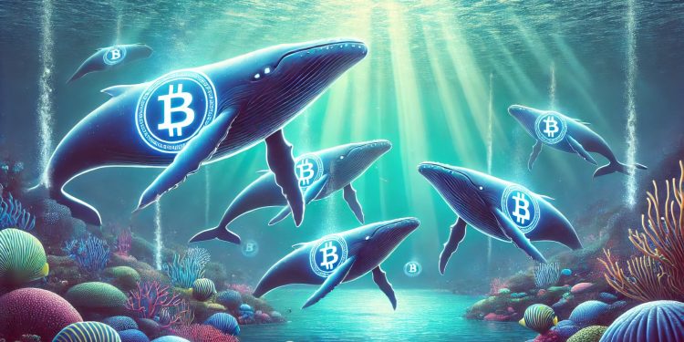 随着大额交易攀升至 100 亿美元,Cardano Bucks 有望突破熊市,这能否推动价格升至 1 美元?