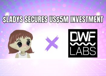 Milady Meme Coin 从 DWF Labs 获得 500 万美元投资