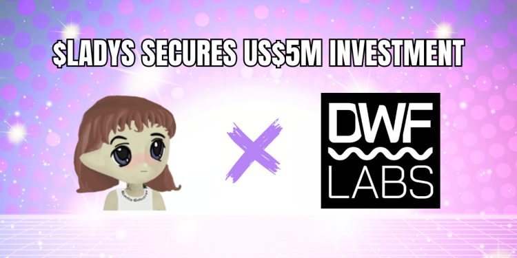 Milady Meme Coin 从 DWF Labs 获得 500 万美元投资