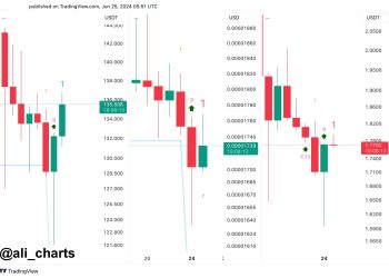 分析师：Shiba Inu、Solana 和 Cardano 均看到买入信号