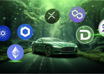 随着交易者转向实用代币,Memecoin 炒作逐渐消退;DTX 交易所备受关注