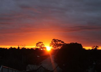 Terra Classic 能否浴火重生?增长 1,500%