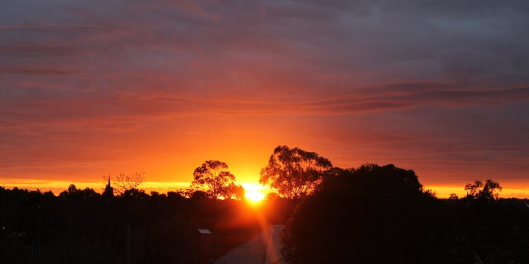 Terra Classic 能否浴火重生?增长 1,500%