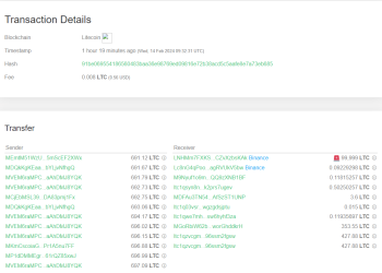 莱特币鲸鱼向币安存入巨额资金，LTC 3% 跌势将延续？