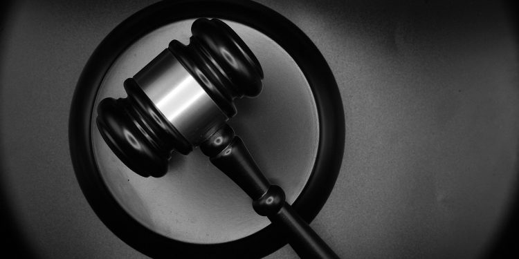 “制药兄弟” Martin Shkreli 被 PleasrDAO 起诉