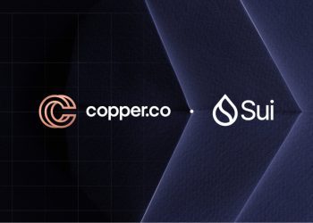 Copper & Sui 合作建立全面的机构无障碍设施