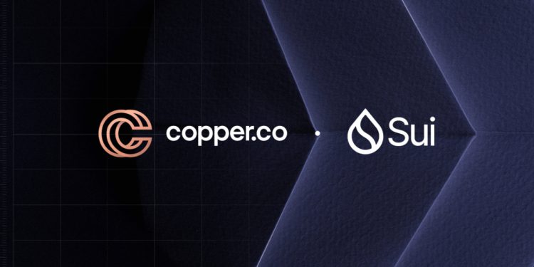 Copper & Sui 合作建立全面的机构无障碍设施
