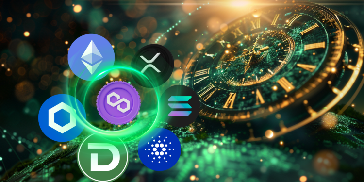 Charles Hoskinson 揭示了 Cardano (ADA) 历史上最大的事件；Notcoin (NOT) 鲸鱼蜂拥而至购买新的优质加密货币