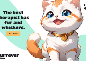 2024 年 6 月最值得关注的表情包币:Shiba Inu、Pepe Coin、Dogecoin 和 Furrever Token