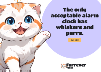在 Pepe Coin 稳定、Shiba Inu 上涨和 Floki 崛起的背景下，投资者为何转向 Furrever Token