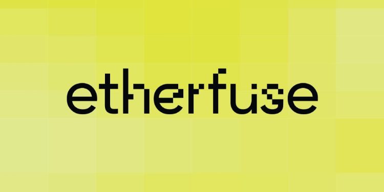Etherfuse 融资 300 万美元,将新兴市场债务引入链上