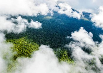 利用 XaaS 降低成本、风险和复杂性