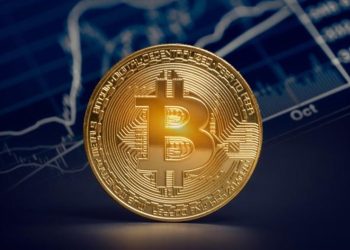 比特币鲸鱼在价格下跌期间积累了 71,000 BTC