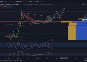 分析师预测，狗狗币可能在本次牛市中突破 1 美元大关