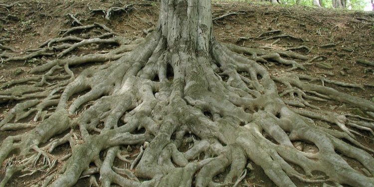 比特币第 2 层 Rootstock 验证零知识 SNARK